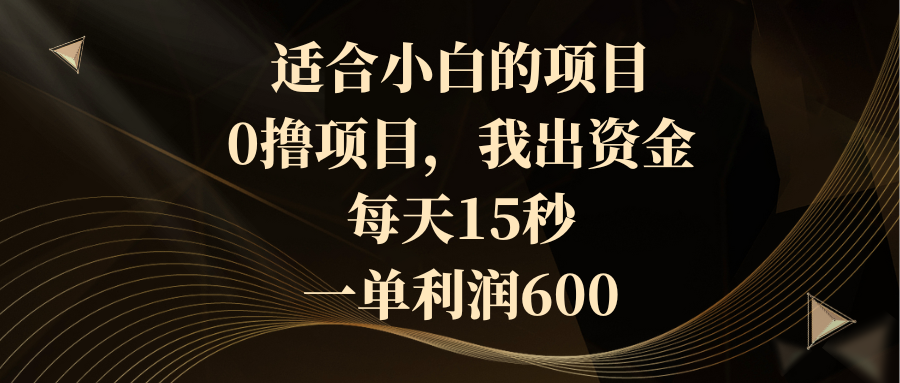 （8571期）适合小白的项目，0撸项目，我出资金，每天15秒，一单利润600-新星起源