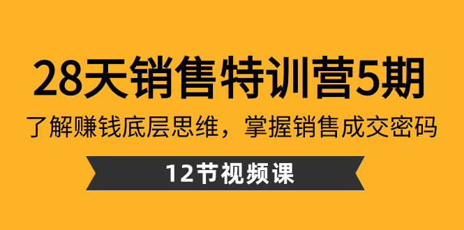 （8659期）28天·销售特训营5期：了解赚钱底层思维，掌握销售成交密码（12节课）-新星起源