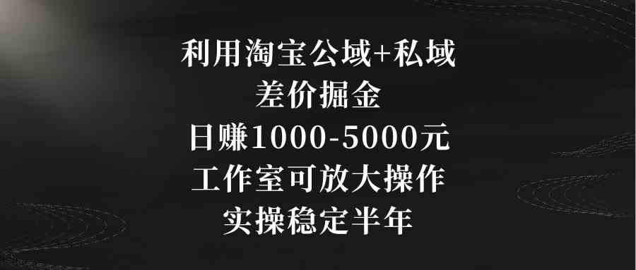 （8952期）利用淘宝公域+私域差价掘金，日赚1000-5000元，工作室可放大操作，实操…-新星起源