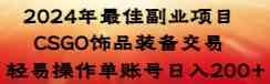 （8941期）2024年最佳副业项目 CSGO饰品装备交易 轻易操作单账号日入200+-新星起源