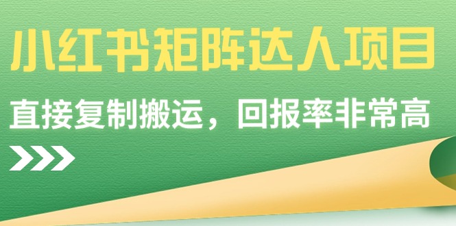 （9019期）小红书矩阵达人项目，直接复制搬运，回报率非常高-新星起源