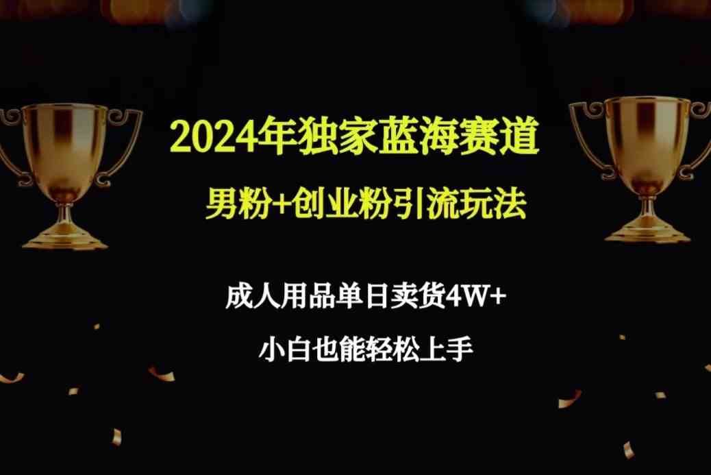 （9111期）2024年独家蓝海赛道男粉+创业粉引流玩法，成人用品单日卖货4W+保姆教程-新星起源