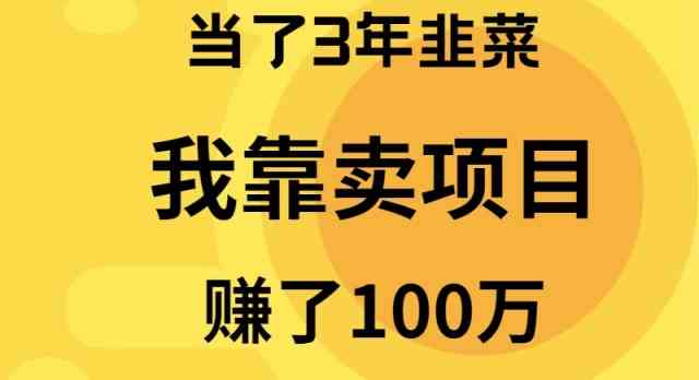 （9100期）当了3年韭菜，我靠卖项目赚了100万-新星起源