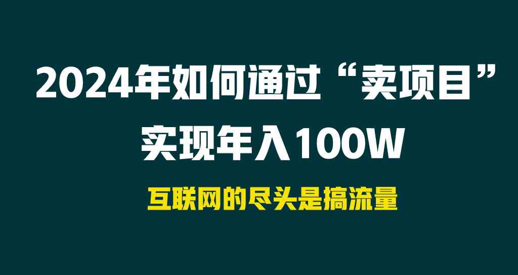 （9147期） 2024年如何通过“卖项目”实现年入100W-新星起源