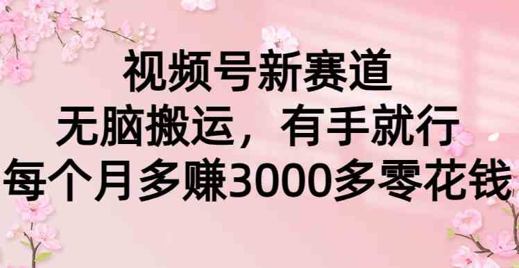 （9278期）视频号新赛道，无脑搬运，有手就行，每个月多赚3000多零花钱-新星起源