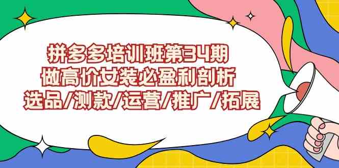 （9333期）拼多多培训班第34期：做高价女装必盈利剖析  选品/测款/运营/推广/拓展-新星起源