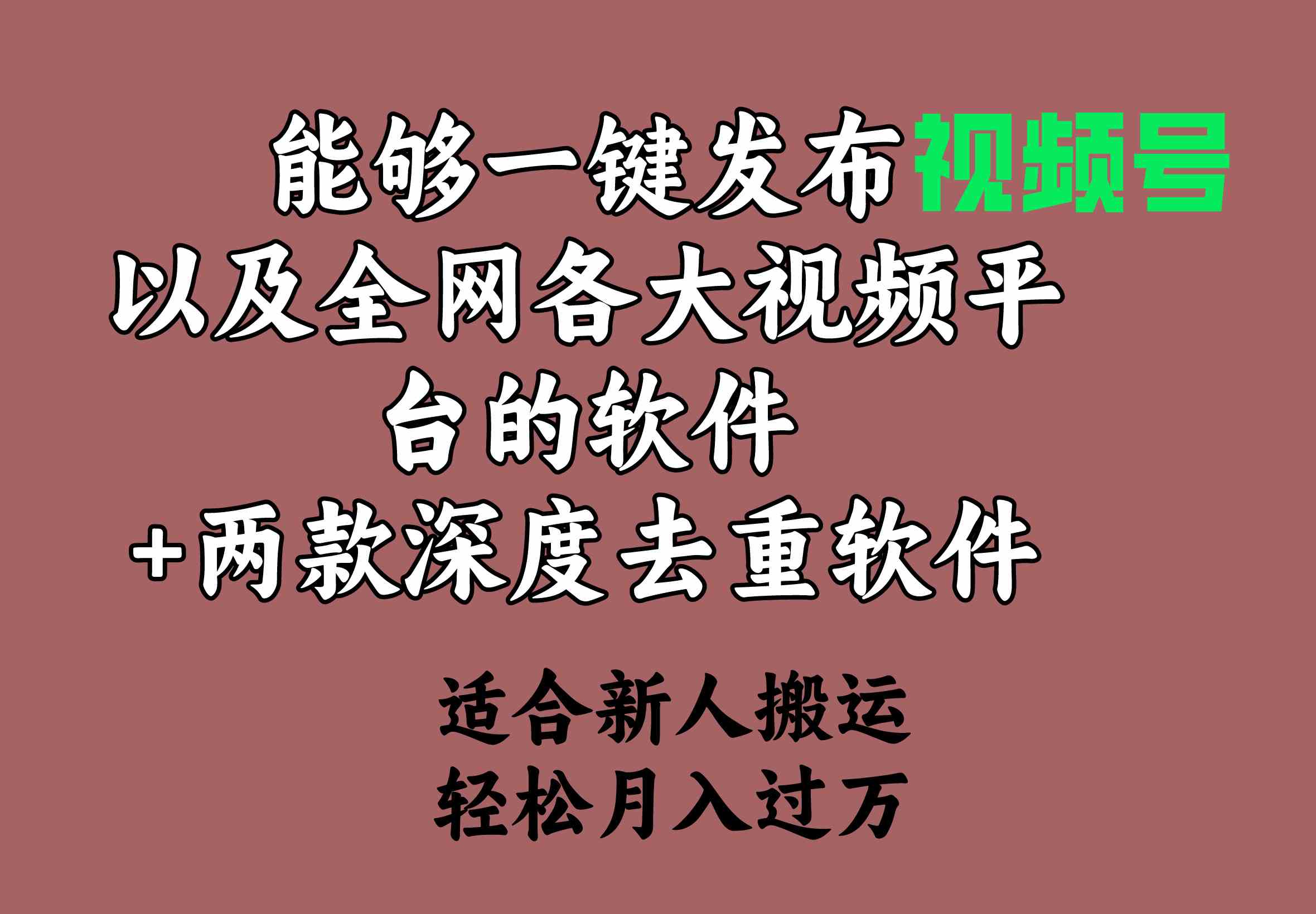 （9319期）能够一键发布视频号以及全网各大视频平台的软件+两款深度去重软件 适合…-新星起源