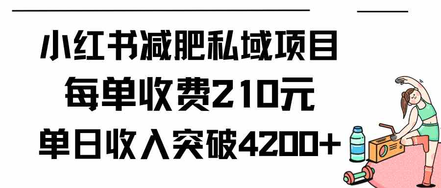 （9466期）小红书减肥私域项目每单收费210元单日成交20单，最高日入4200+-新星起源