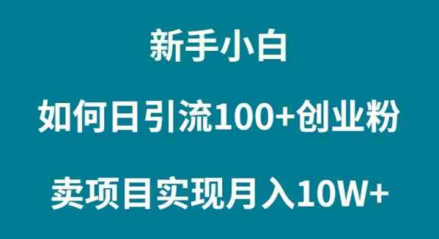 （9556期）新手小白如何通过卖项目实现月入10W+-新星起源