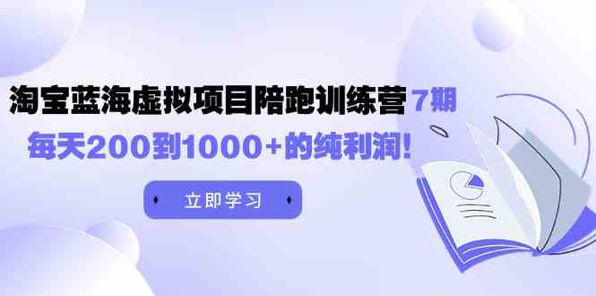 （9541期）黄岛主《淘宝蓝海虚拟项目陪跑训练营7期》每天200到1000+的纯利润-新星起源