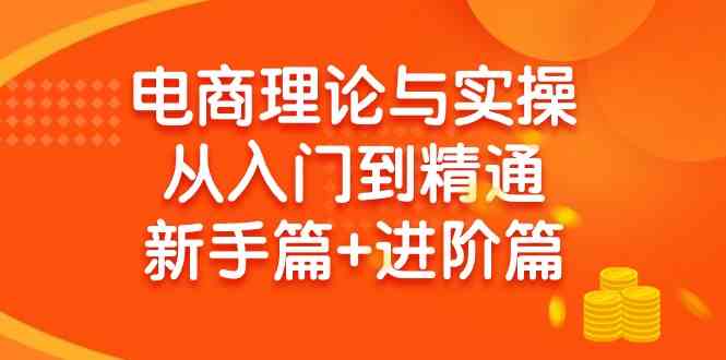 （9576期）电商理论与实操从入门到精通 新手篇+进阶篇-新星起源