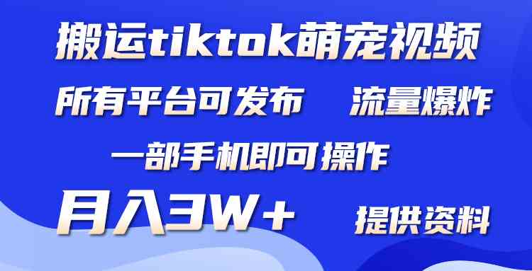 （9618期）搬运Tiktok萌宠类视频，一部手机即可。所有短视频平台均可操作，月入3W+-新星起源