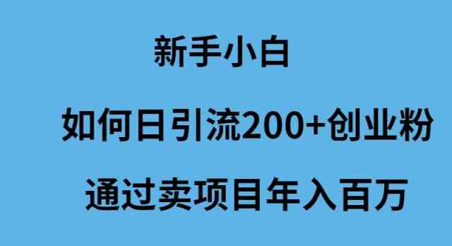 （9668期）新手小白如何日引流200+创业粉通过卖项目年入百万-新星起源