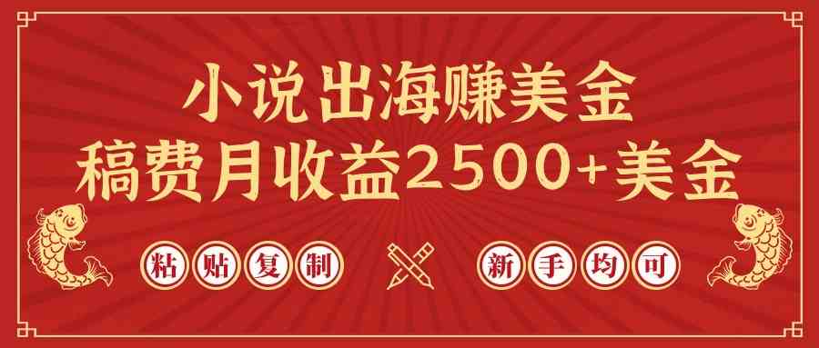 （9765期）小说出海赚美金，稿费月收益2500+美金，仅需chatgpt粘贴复制，新手也能玩转-新星起源