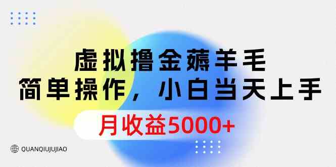 （9864期）虚拟撸金薅羊毛，简单操作，小白当天上手，月收益5000+-新星起源