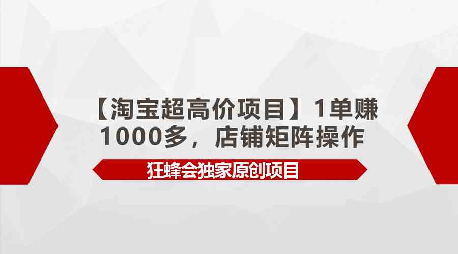 （9849期）【淘宝超高价项目】1单赚1000多，店铺矩阵操作-新星起源