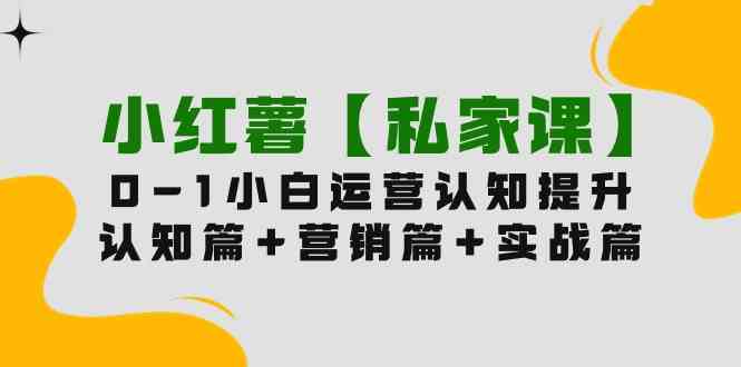 （9910期）小红薯【私家课】0-1玩赚小红书内容营销，认知篇+营销篇+实战篇（11节课）-新星起源