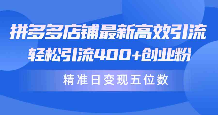 （10041期）拼多多店铺最新高效引流术，轻松引流400+创业粉，精准日变现五位数！-新星起源