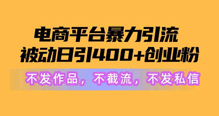 （10168期）电商平台暴力引流,被动日引400+创业粉不发作品，不截流，不发私信-新星起源