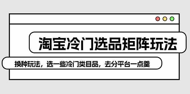 （10159期）淘宝冷门选品矩阵玩法：换种玩法，选一些冷门类目品，去分平台一点羹-新星起源