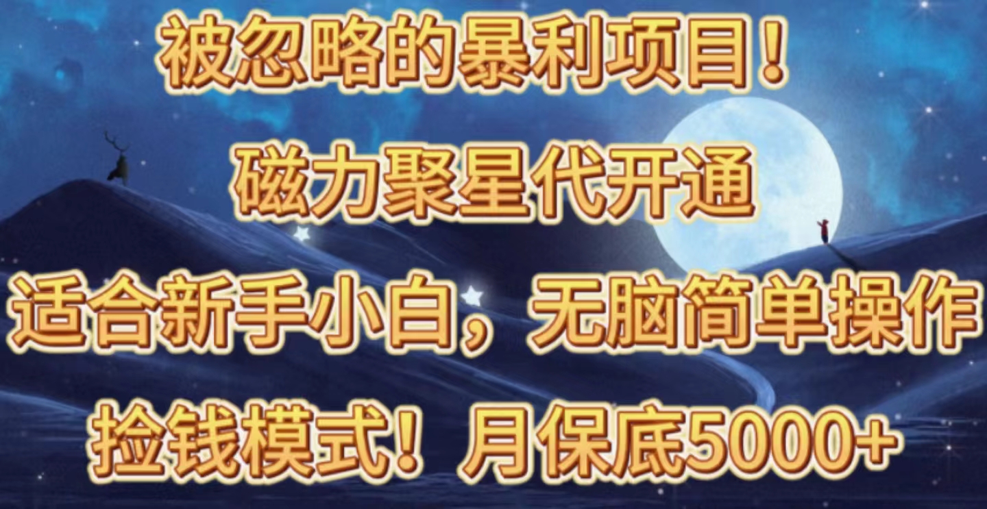 （10245期）被忽略的暴利项目！磁力聚星代开通捡钱模式，轻松月入五六千-新星起源