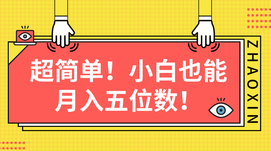 （10257期）超简单图文项目！小白也能月入五位数-新星起源