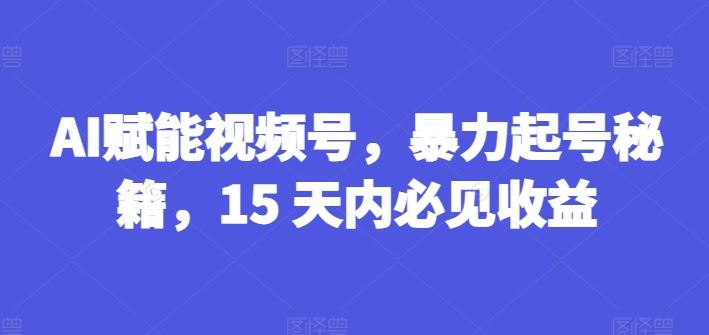 AI赋能视频号，暴力起号秘籍，15 天内必见收益【揭秘】-新星起源