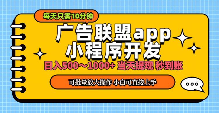 （11645期）小程序开发 广告赚钱 日入500~1000+ 小白轻松上手！-新星起源