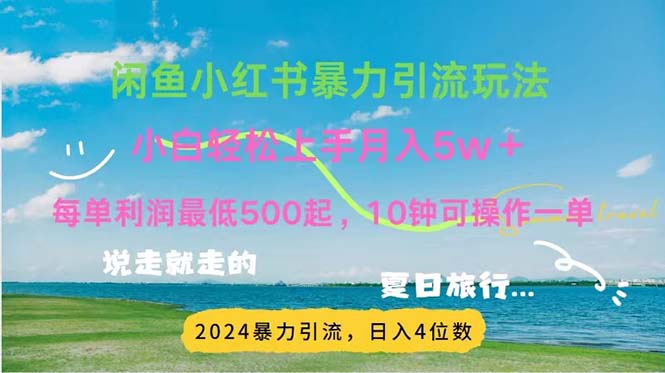 （11650期）2024暑假赚钱项目小红书咸鱼暴力引流，简单无脑操作，每单利润500+，…-新星起源