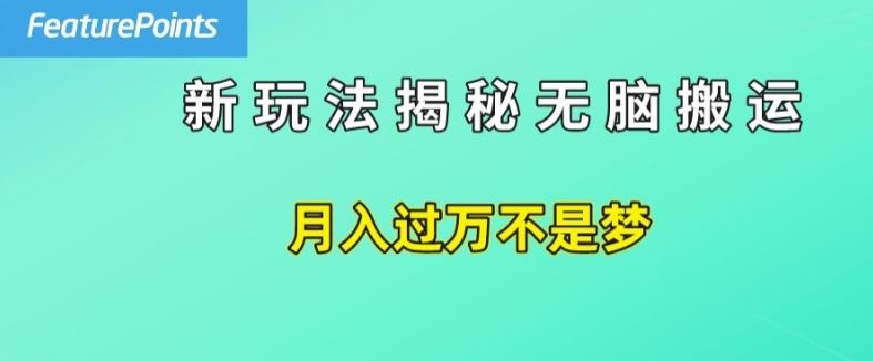 简单操作，每天50美元收入，搬运就是赚钱的秘诀【揭秘】-新星起源