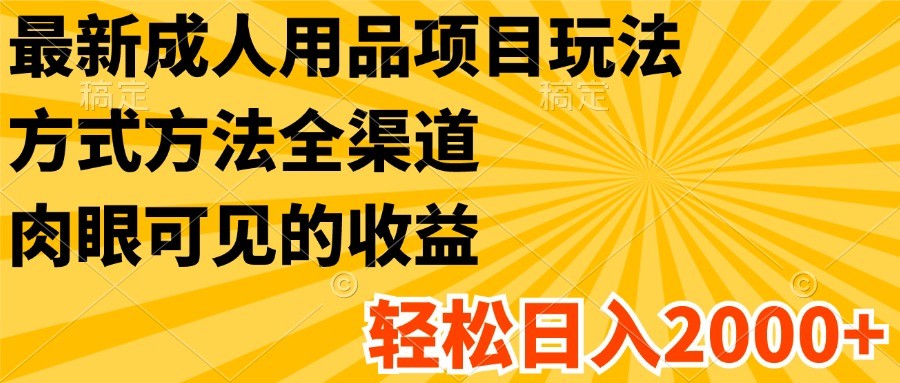 最新成人用品项目玩法，方式方法全渠道，肉眼可见的收益，轻松日入2000+-新星起源