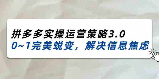 2024-2025拼多多实操运营策略3.0，0~1完美蜕变，解决信息焦虑（38节）-新星起源