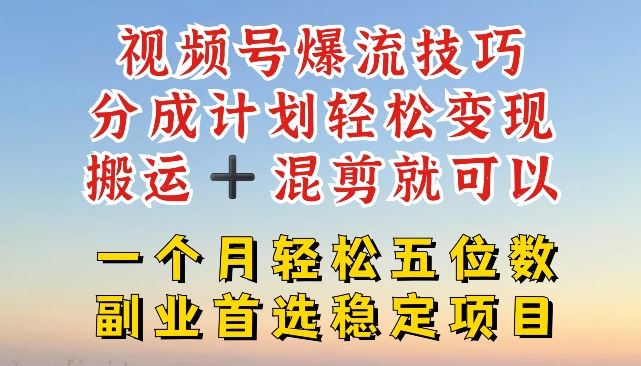 视频号爆流技巧，分成计划轻松变现，搬运 +混剪就可以，一个月轻松五位数稳定项目【揭秘】-新星起源