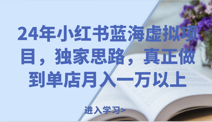 24年小红书蓝海虚拟项目，独家思路，真正做到单店月入一万以上。-新星起源