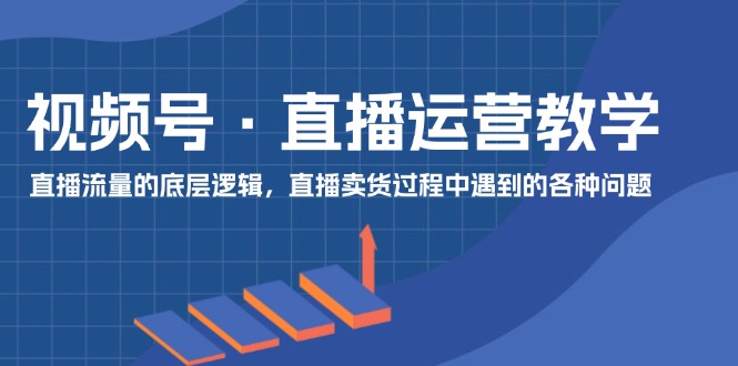 （11687期）视频号 直播运营教学：直播流量的底层逻辑，直播卖货过程中遇到的各种问题-新星起源