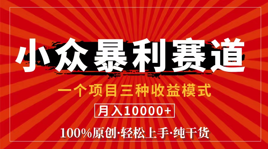 （11695期）视频号【中老年粉深信不疑】小众赛道 100%原创 手把手教学 新号3天收益…-新星起源