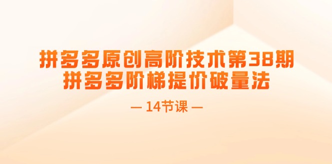 （11704期）拼多多原创高阶技术第38期，拼多多阶梯提价破量法（14节课）-新星起源