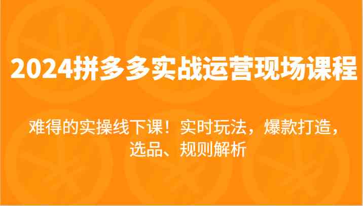 2024拼多多实战运营现场课，实时玩法，爆款打造，选品、规则解析，难得的实操线下课！-新星起源